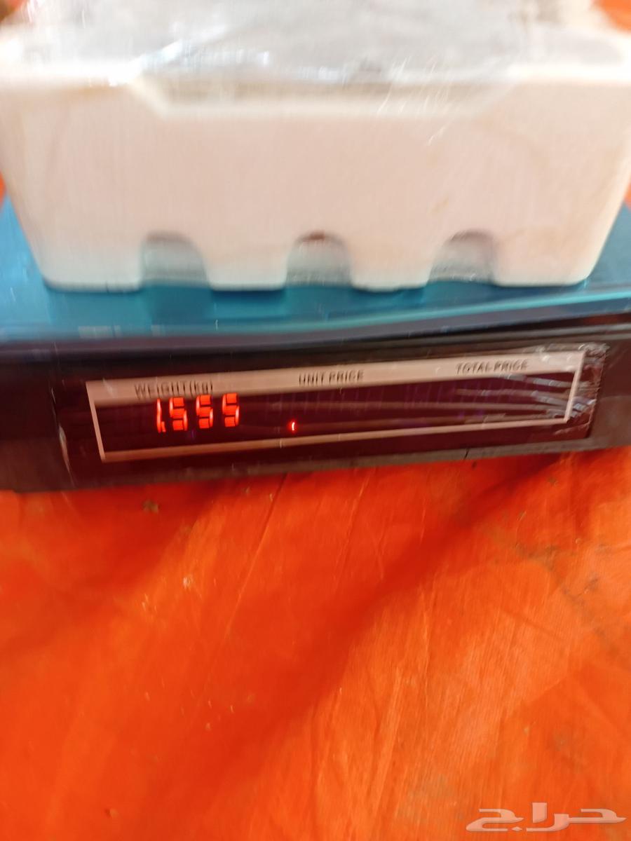 Sukkari dates and Nabtat Ali for sale64427704281730113