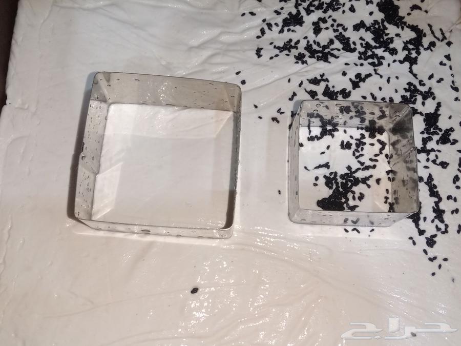 منتجات بلدية مكفولة حليب طازج جبنة بيضة لبنة زعتر من المزرعة64587925882883110