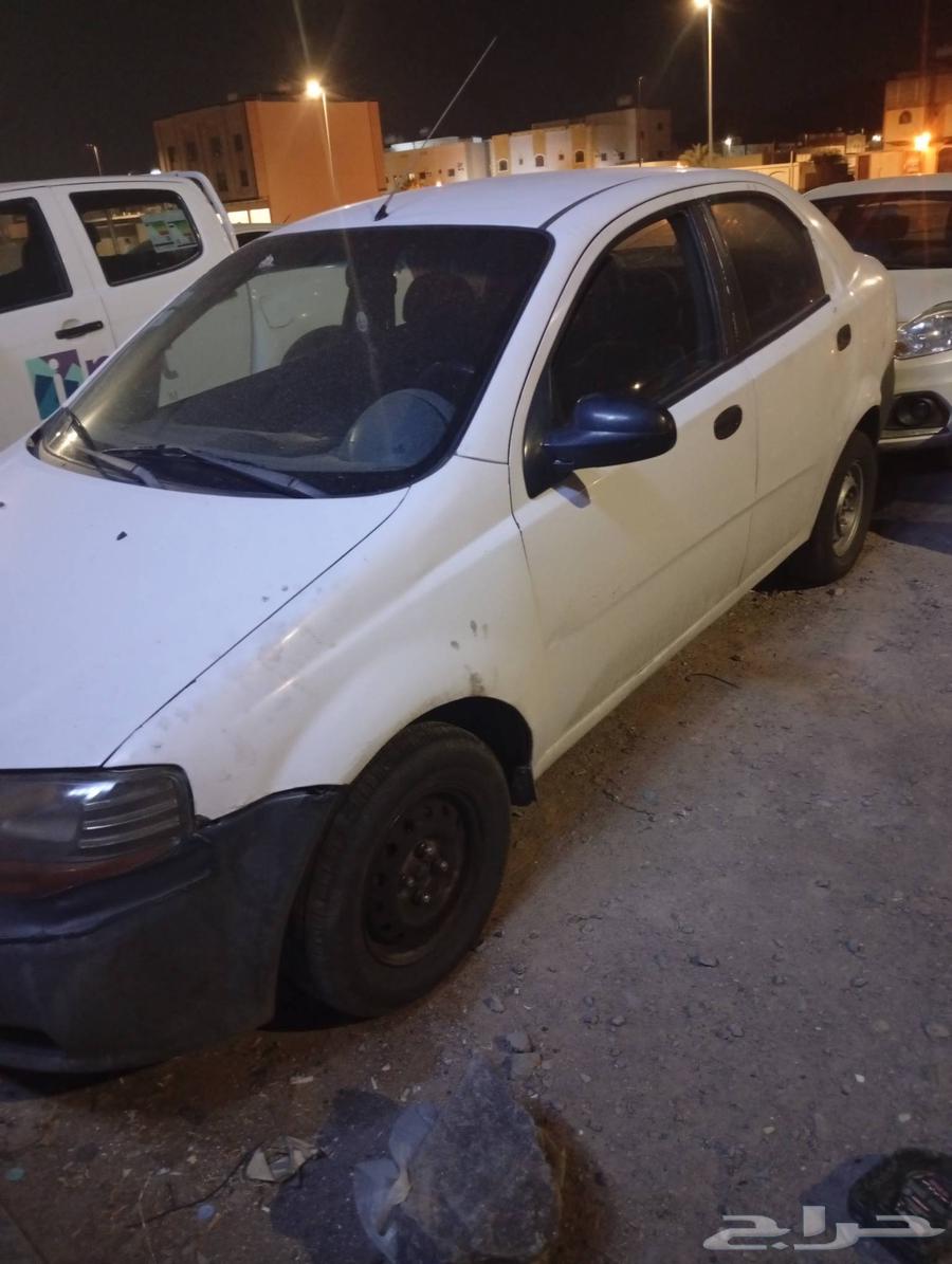 شفر كوري موديل 200564587329748097111