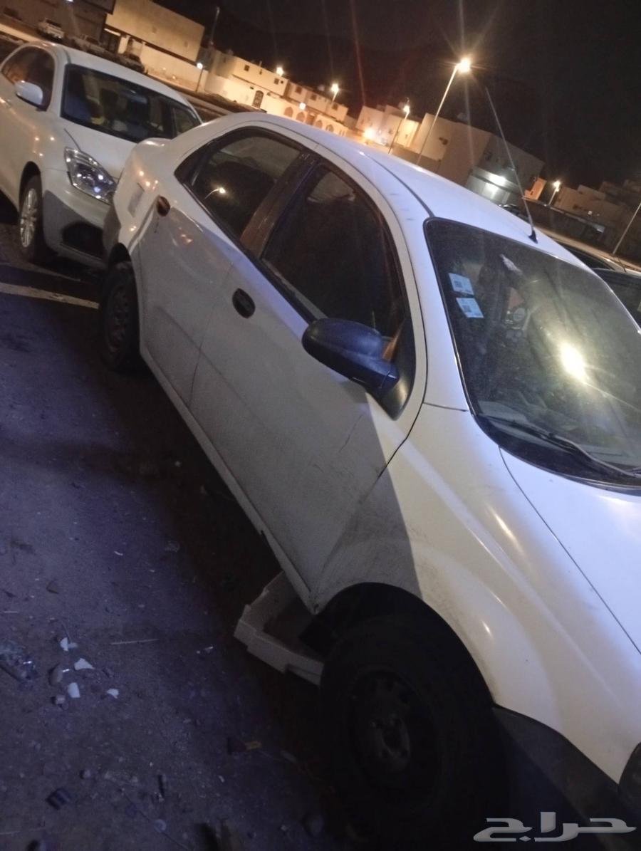 شفر كوري موديل 200564587329748097112