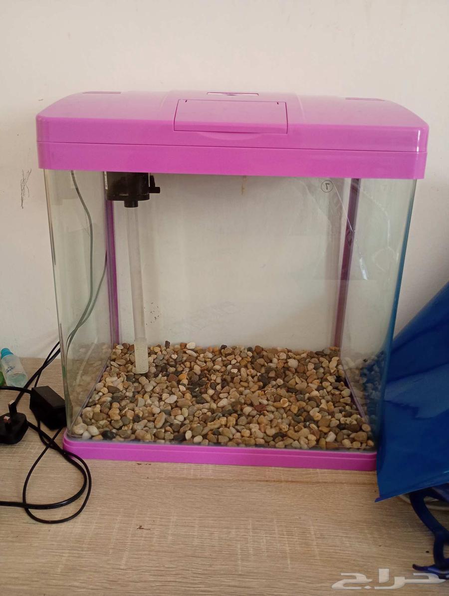 حوض سمك للبيع64422232516739110