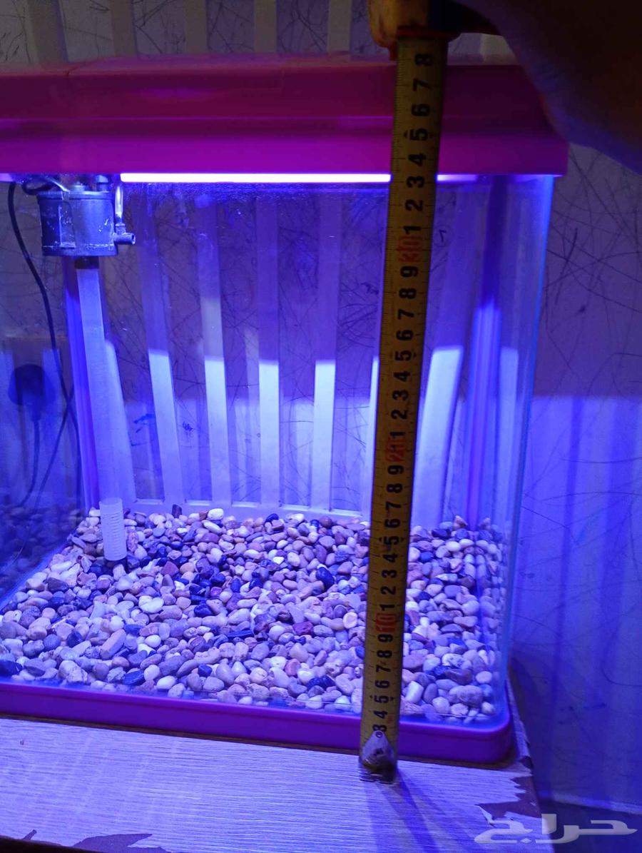 حوض سمك للبيع64422232516739114