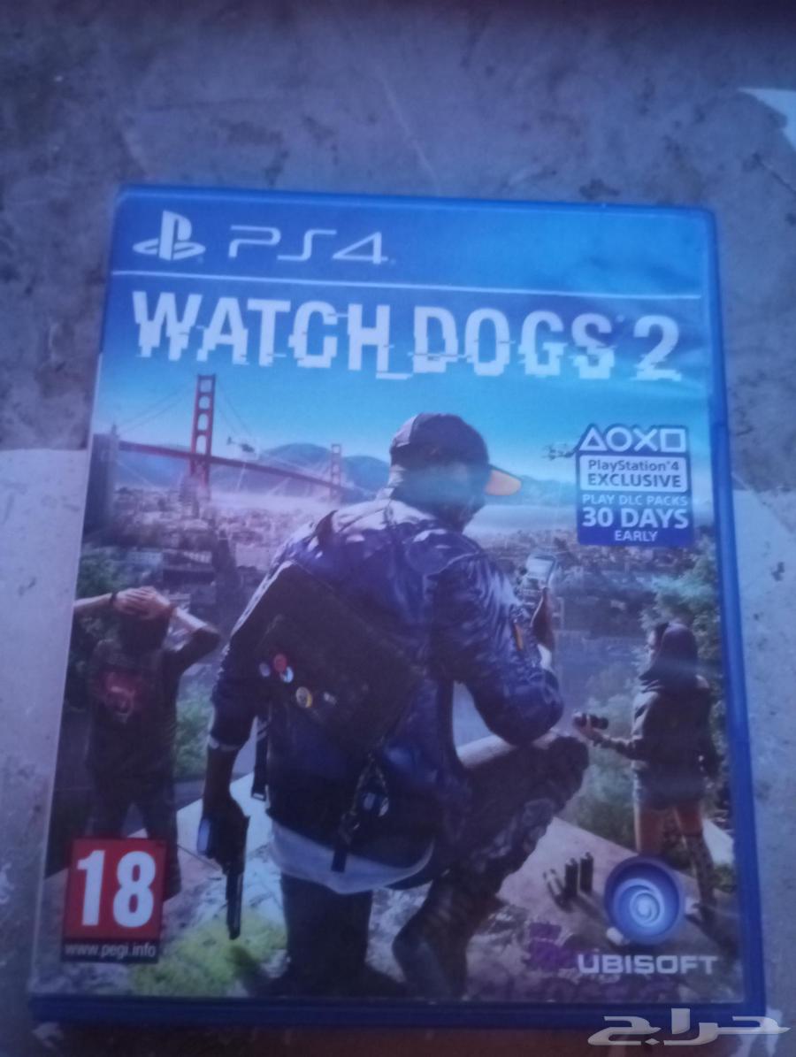 شريط واتش دوقز 264430630096769110