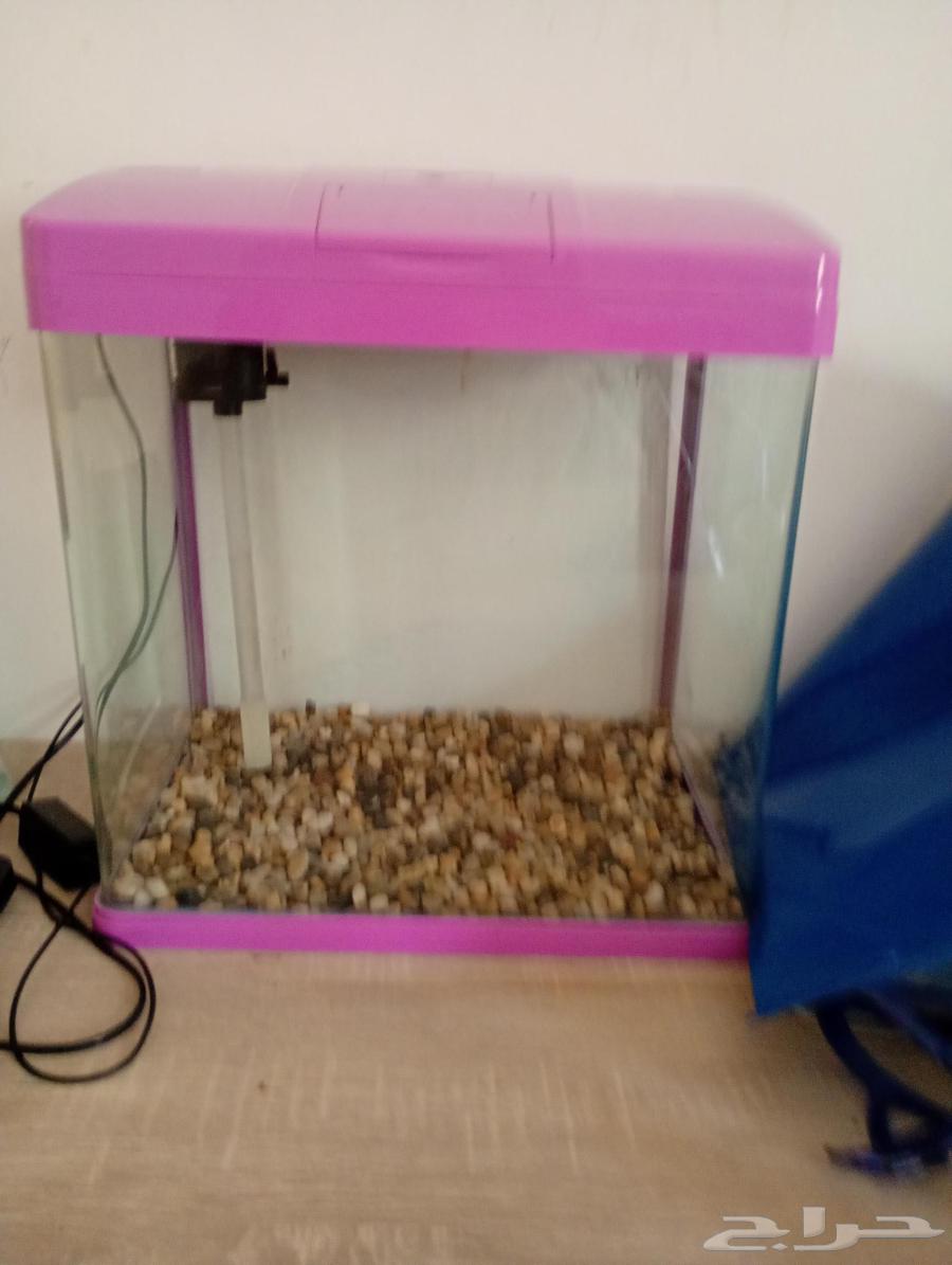 حوض سمك للبيع64422232516739111
