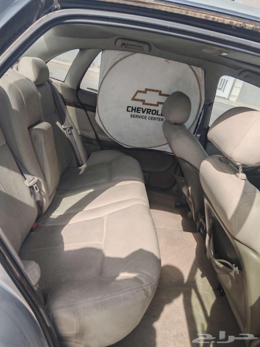 Cobras 2002 SS Shad Balad Running 250.64559953032195113