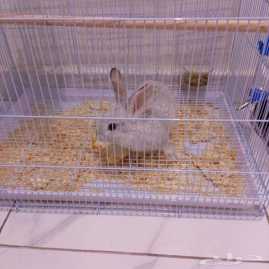 الدمام حي المنار64432768674434110