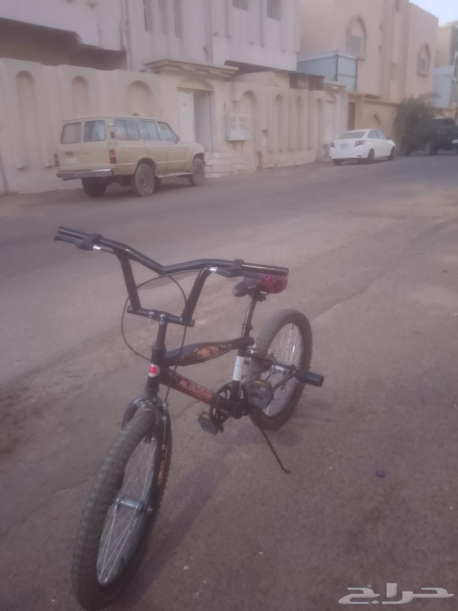 Bicycle for sale size 20, red color arrived 170 and black color arrived64431521369603112