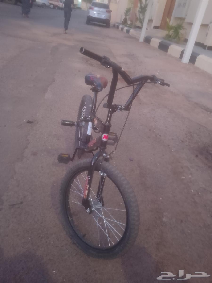 Bicycle for sale size 20, red color arrived 170 and black color arrived64431521369603111