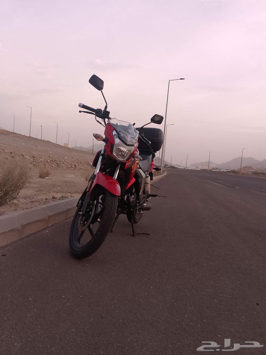 دباب هوجو 2025مكينه150نضيف جداا استخدام شخصي64590238876289113