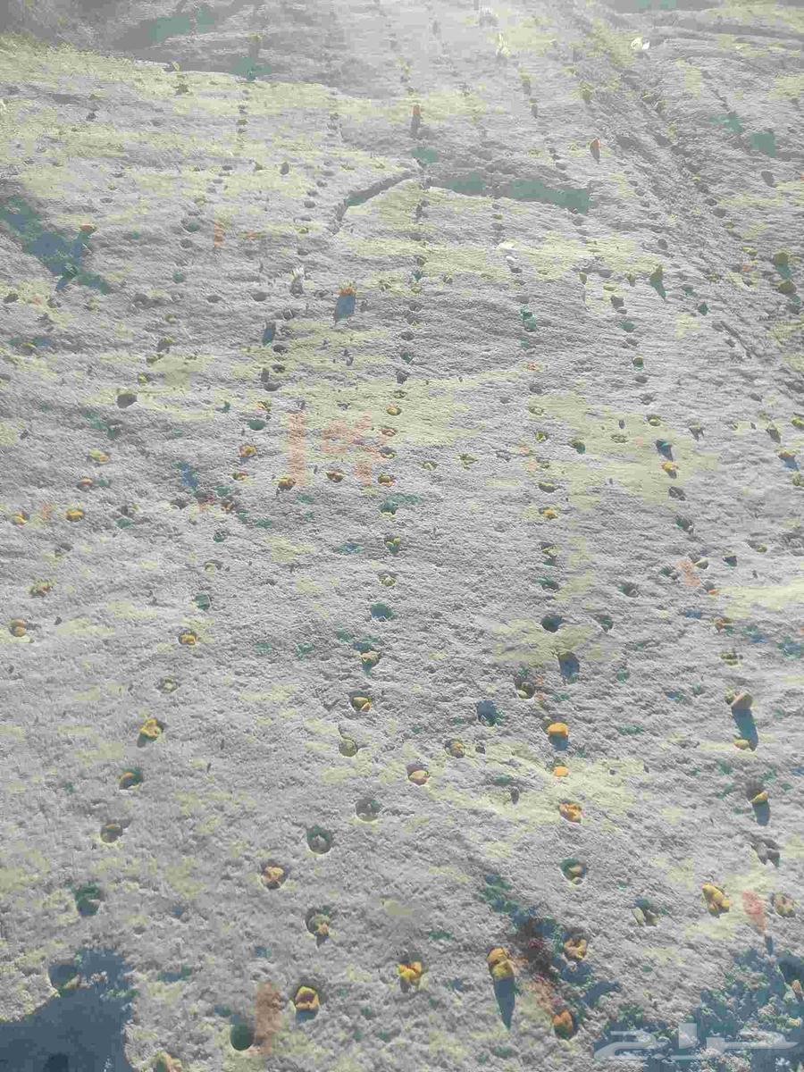 ماده تفكيك الصخور64592250054401110