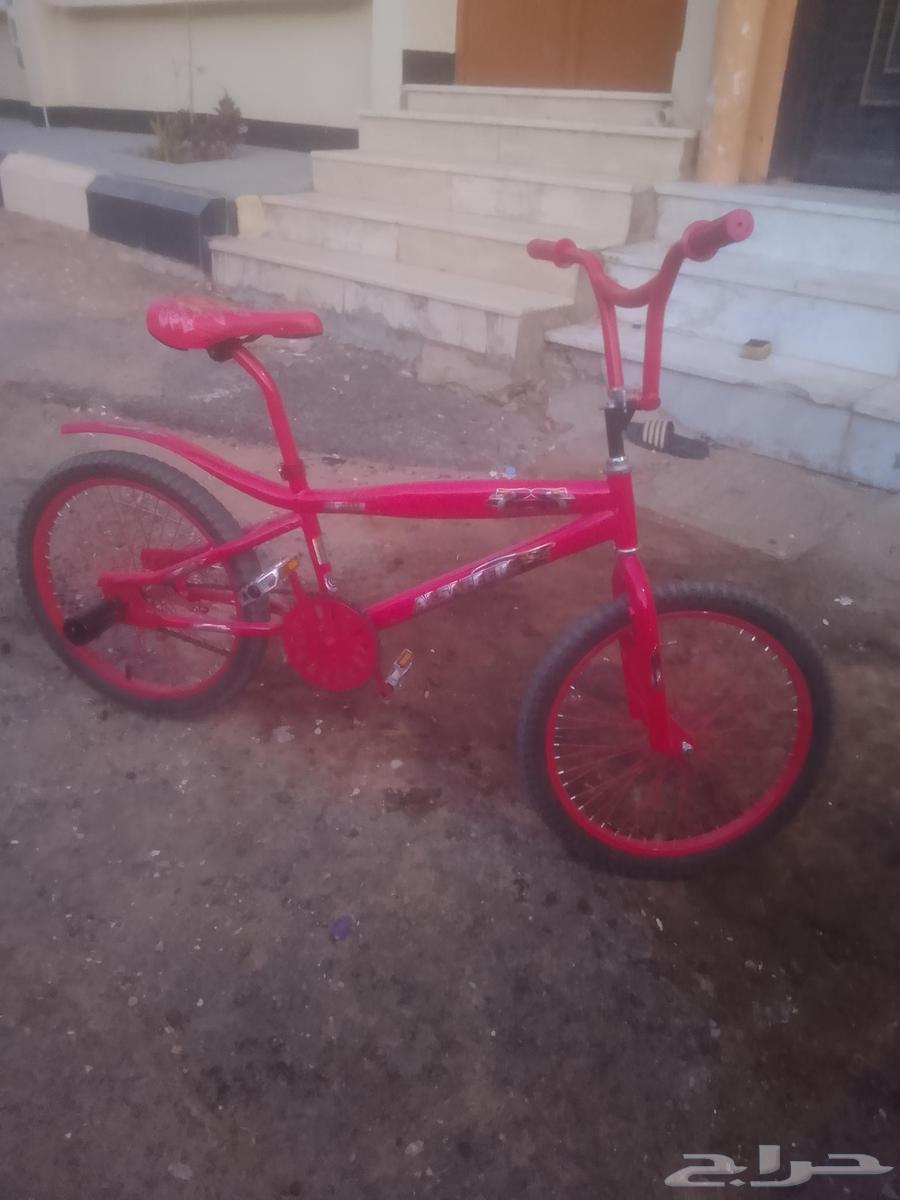 Bicycle for sale size 20, red color arrived 170 and black color arrived64431521369603110