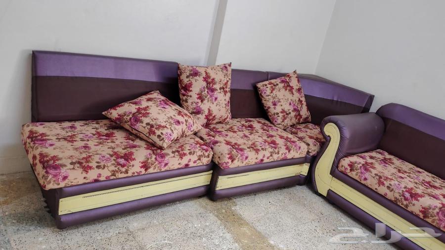 Basis for Sale64432251159937114