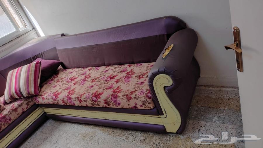 Basis for Sale64432251159937113