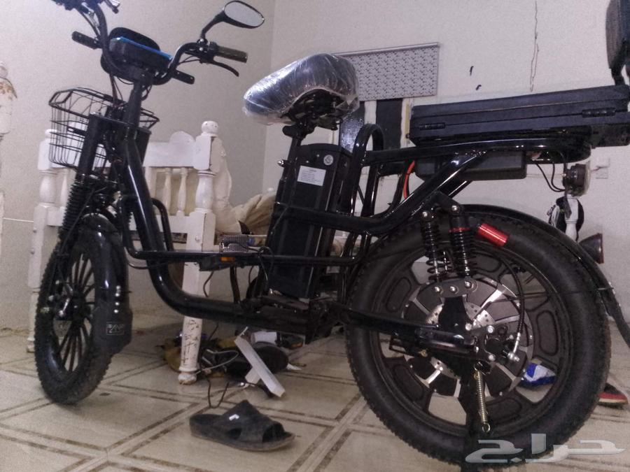 Syrian scooter size 2064433390649986110