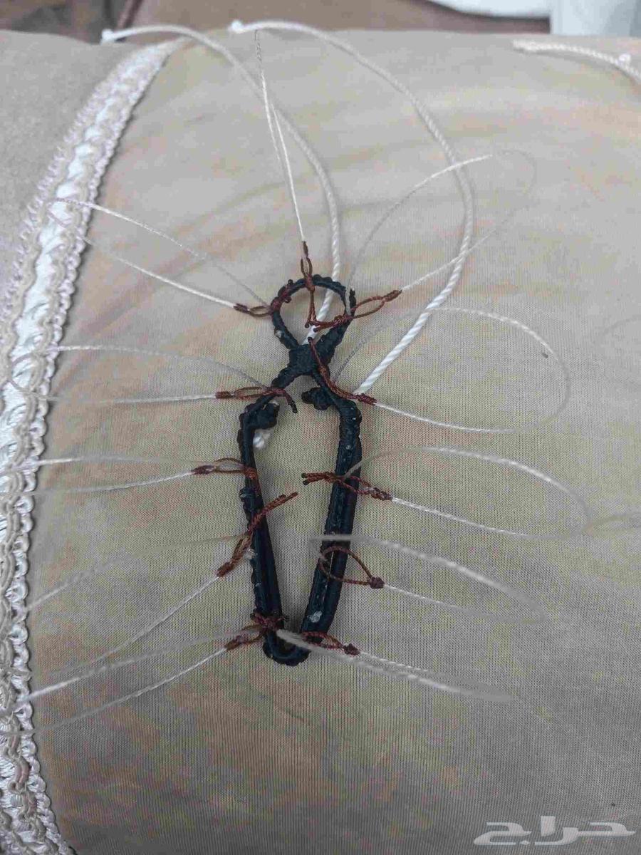 Hawk Trapping Net64430873557635110