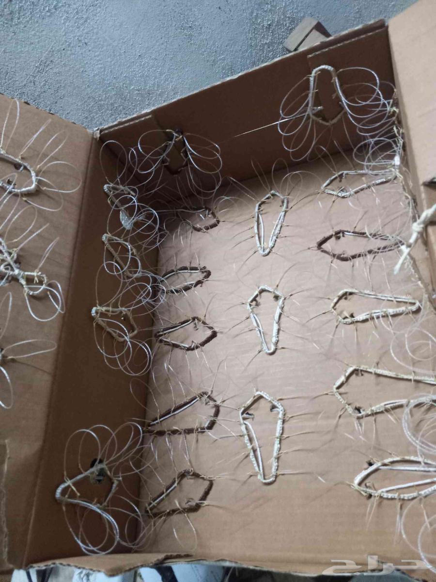 Hawk Trapping Net64430873557635114