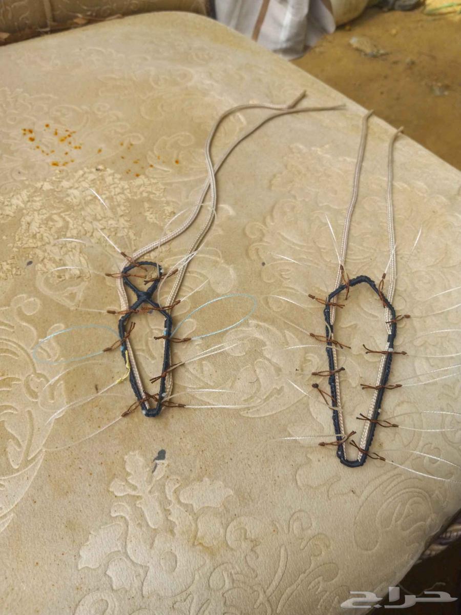 Hawk Trapping Net64430873557635113