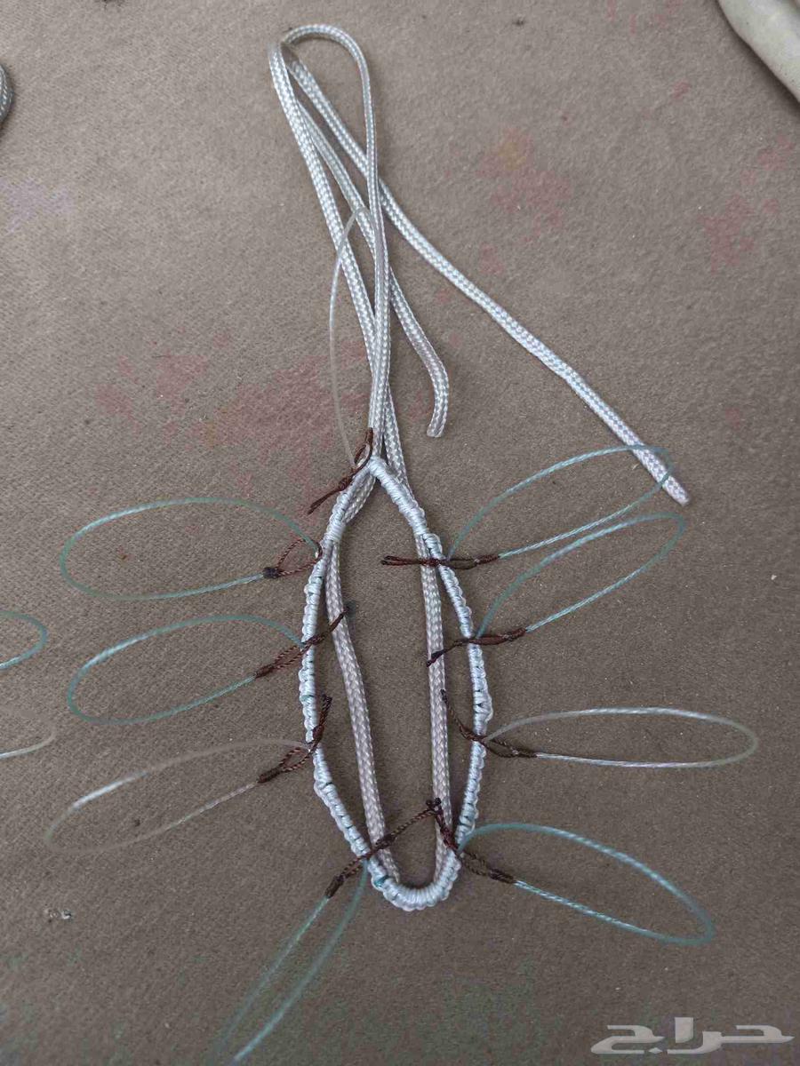 Hawk Trapping Net64430873557635112