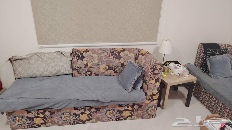 كنب مستعمل للبيع ينبع الصناعيه64428268804354113