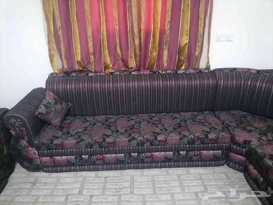 للبيع حصلووو العرض64429708351619114