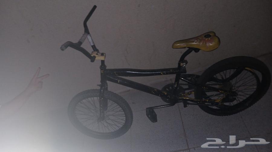 سيكل مقاس 20 على السوم64427076067203111