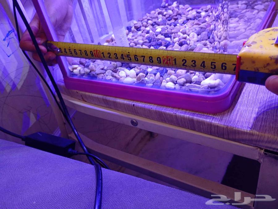 حوض سمك للبيع64422232516739113