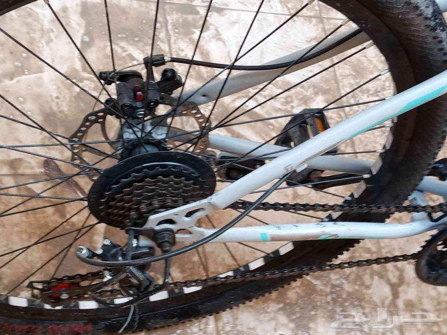 New sports bike, used for 3 weeks, in exceptional condition and not abused64429923303555114