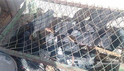 حمام سوادي للبيع64431224242307110