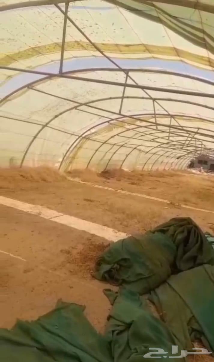 20 بيت وطني للبيع وسعرهن ممتاز الصامل يتصل64428093509378111