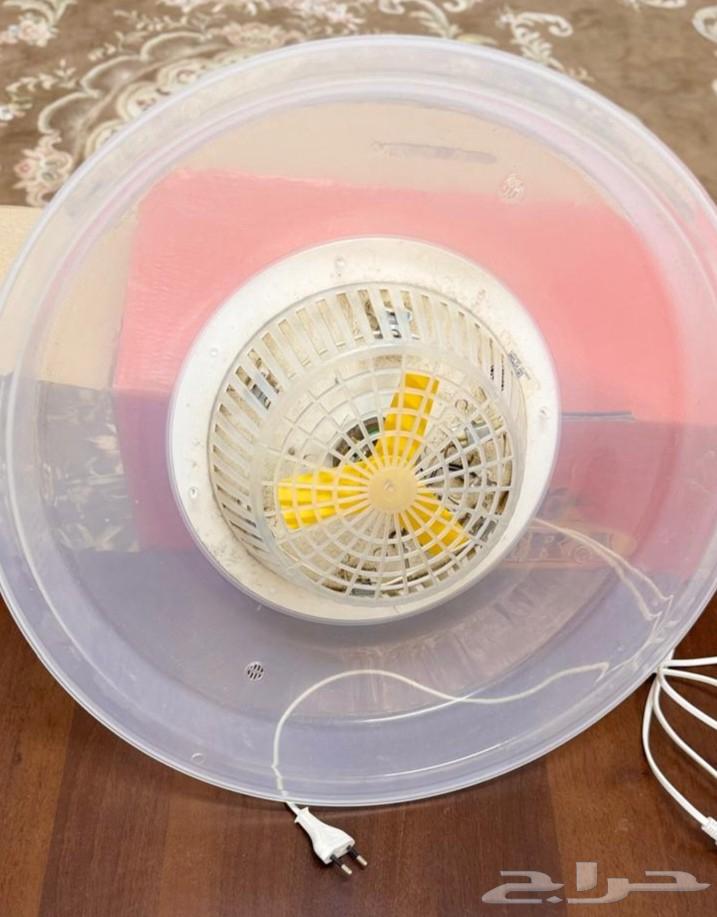 فقاسة أوربية 51 بيضة64432673594371112