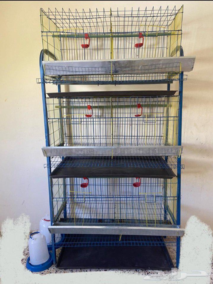 قفص دجاج بياض64430164568322110