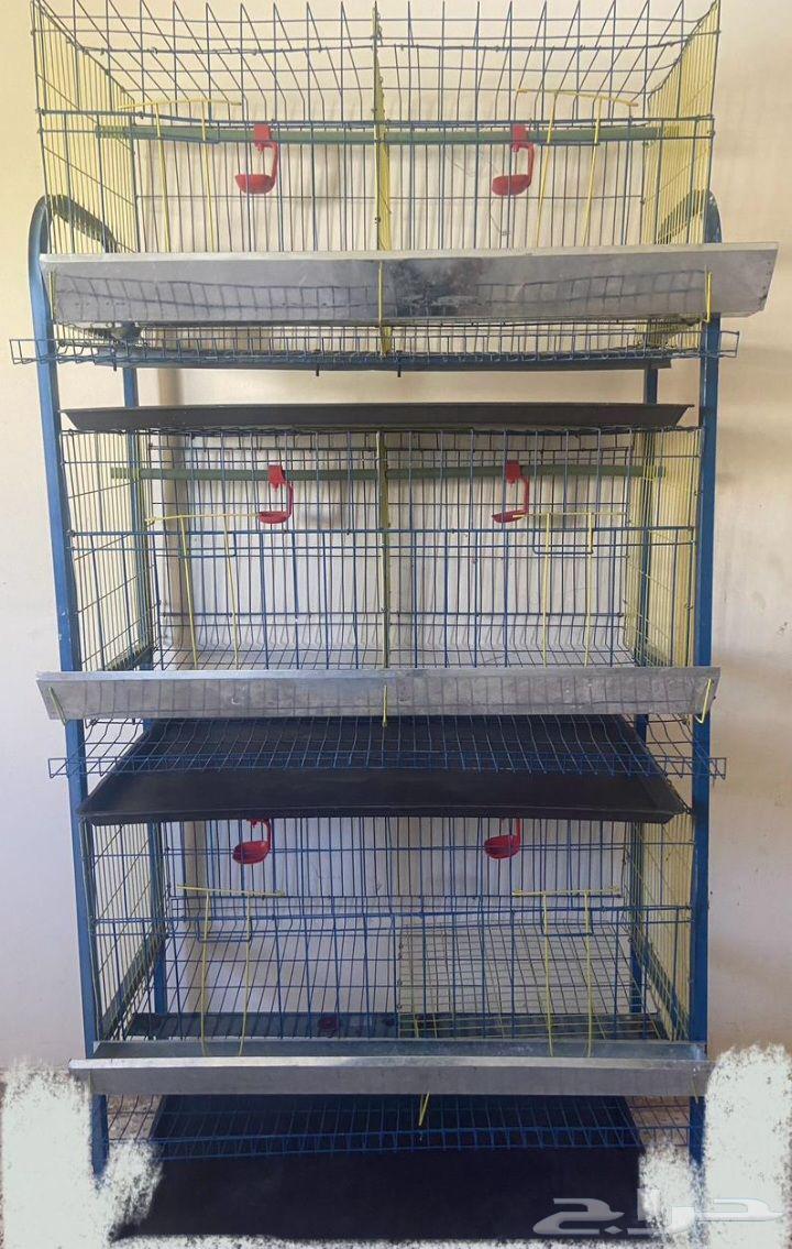 قفص دجاج بياض64430164568322111