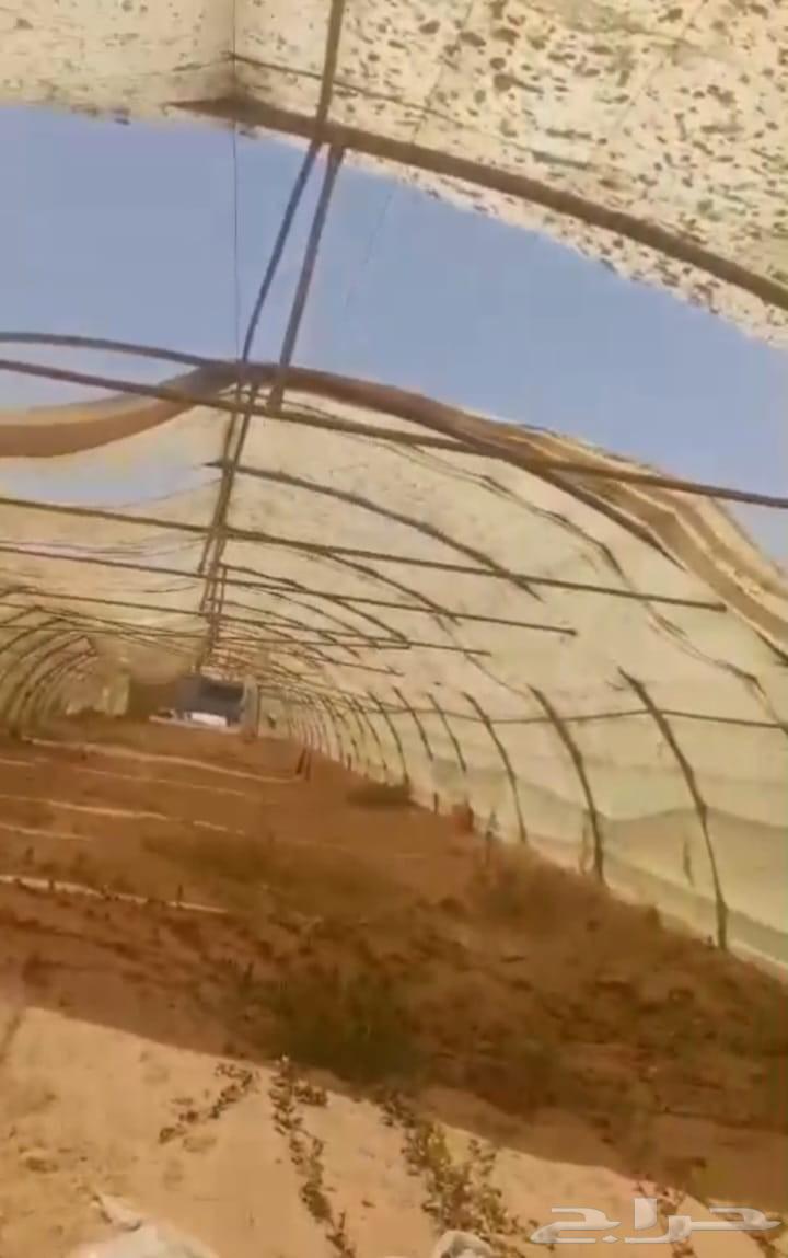 20 بيت وطني للبيع وسعرهن ممتاز الصامل يتصل64428093509378110