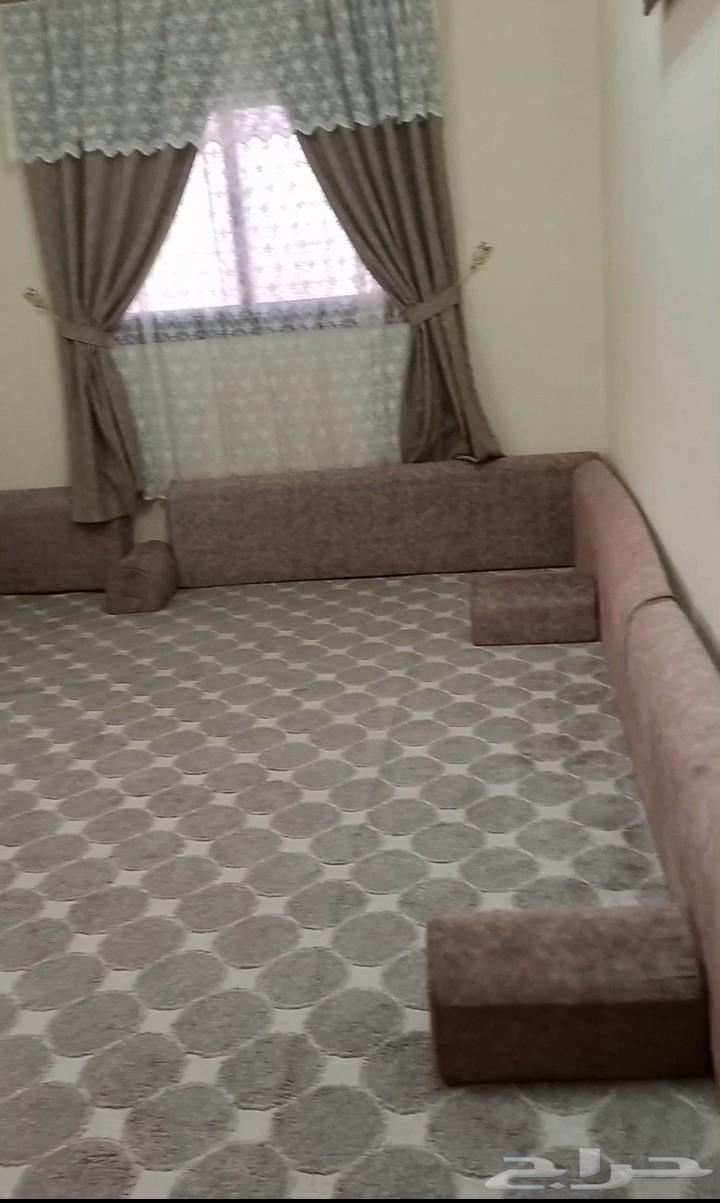 Cushions, supports, and mats for sale at 300 riyals for serious buyers64428469894787110