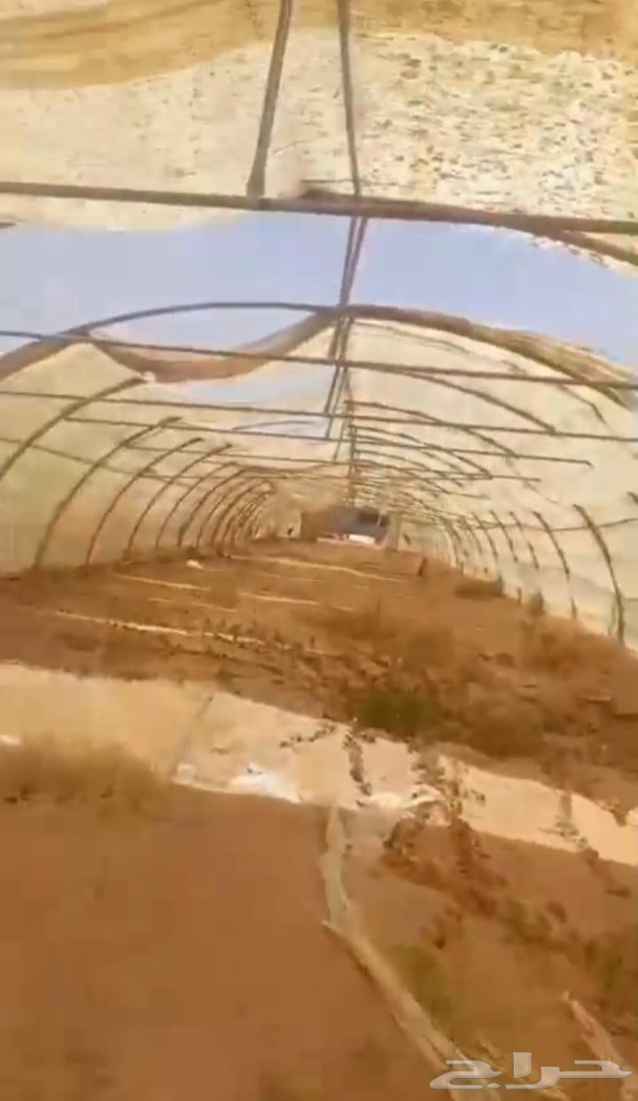 20 بيت وطني للبيع وسعرهن ممتاز الصامل يتصل64428093509378112