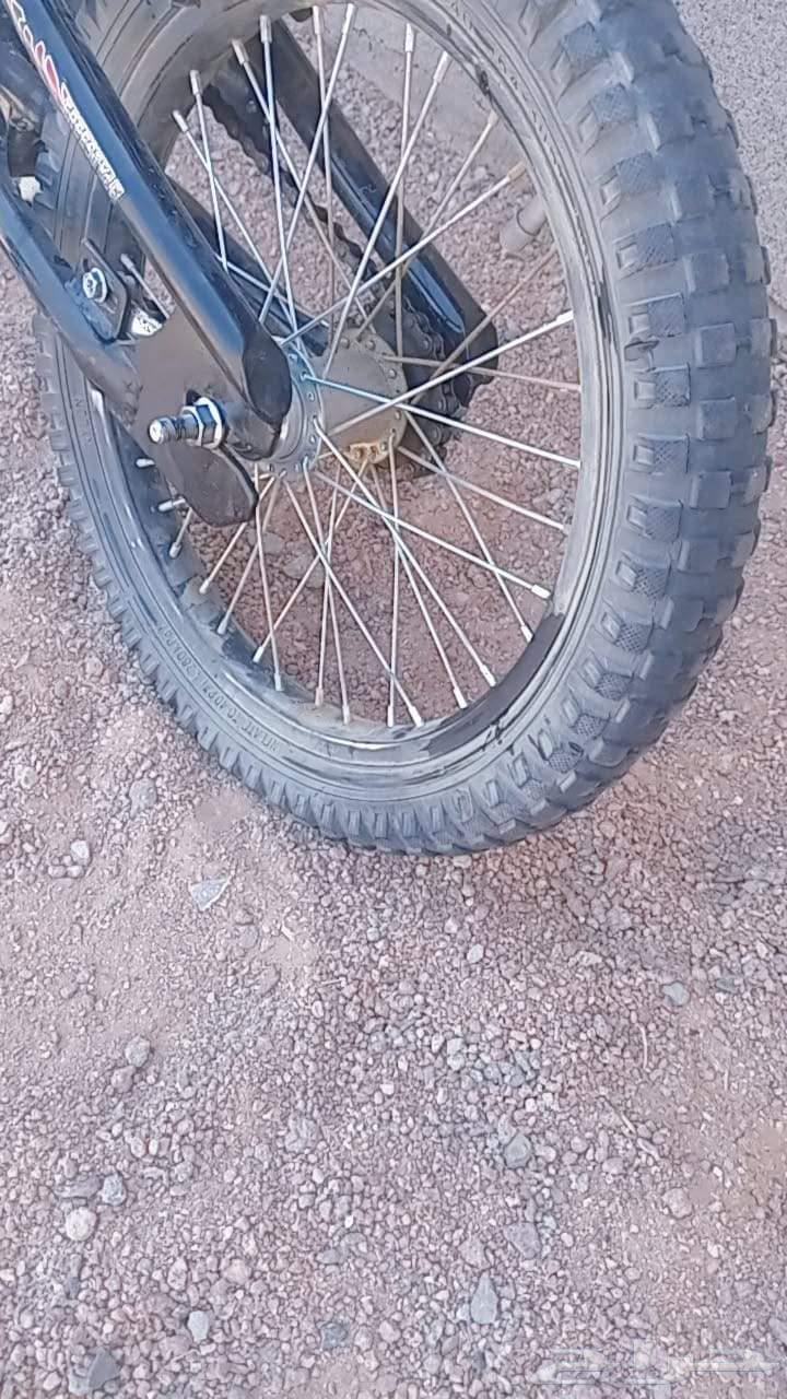 سيكل كوبرا للبيع64429170321665110