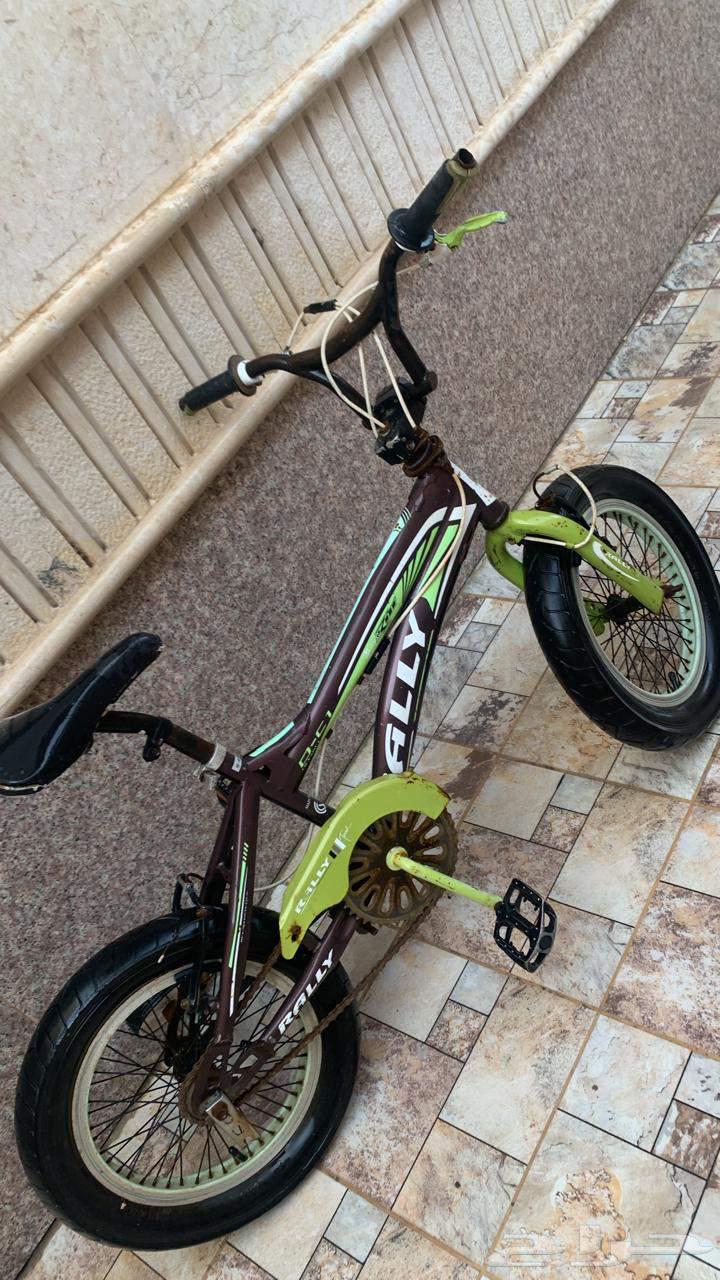 سيكل ralily64433296968962110