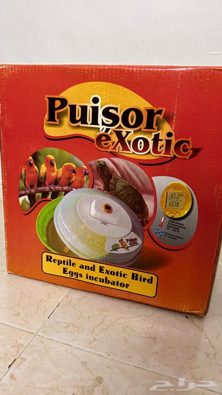 فقاسة أوربية 51 بيضة64432673594371111