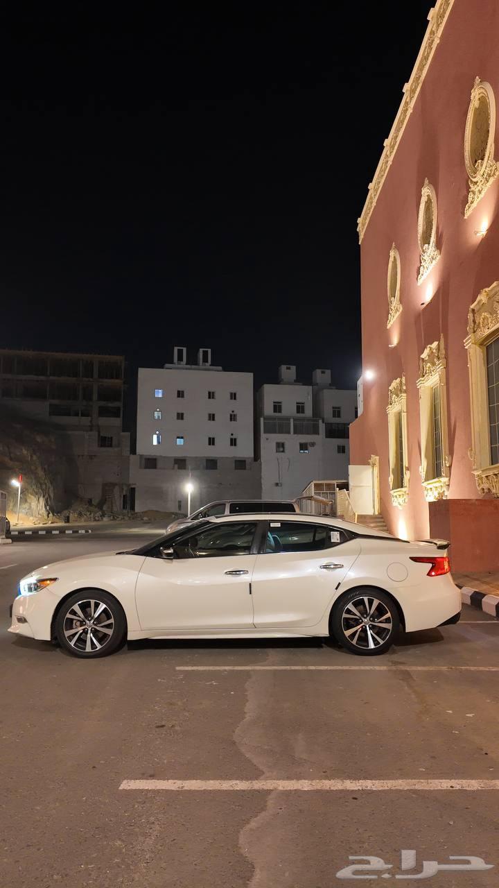 2017 Maxima Full Body Local Agency64592552873345110