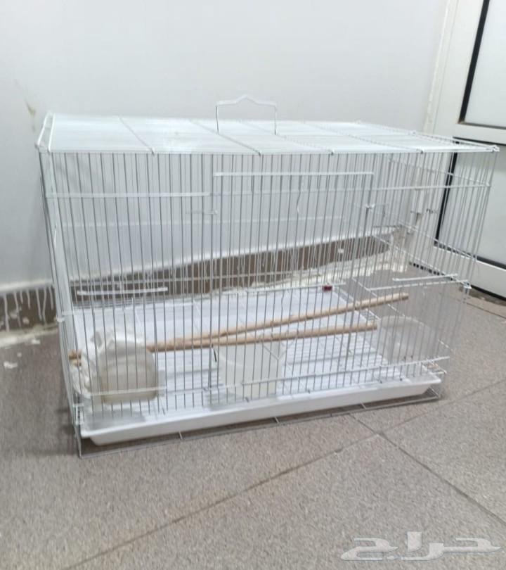 قفص عصافير شبه جديد64427677272066110