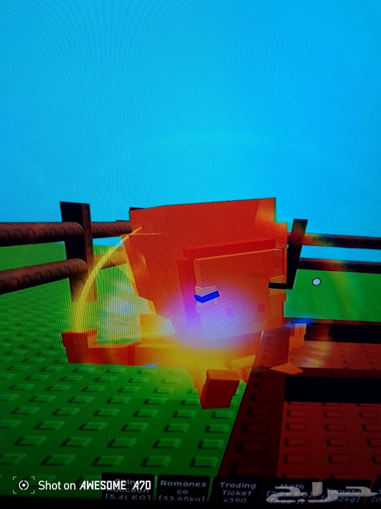 اخطبوط ريمبو كل 15دقيقه64591767670018110