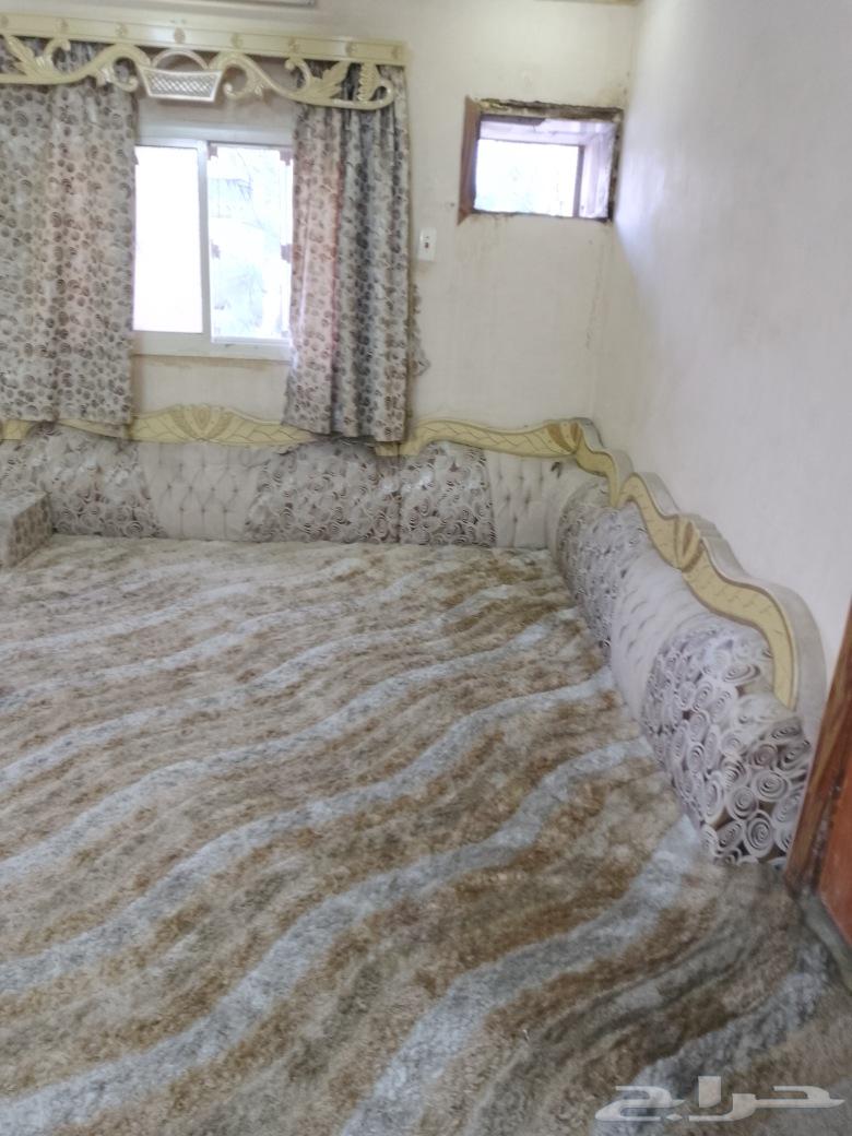 Mattress with backrests, curtain set, and 3 cushions size 6x464431575751937113