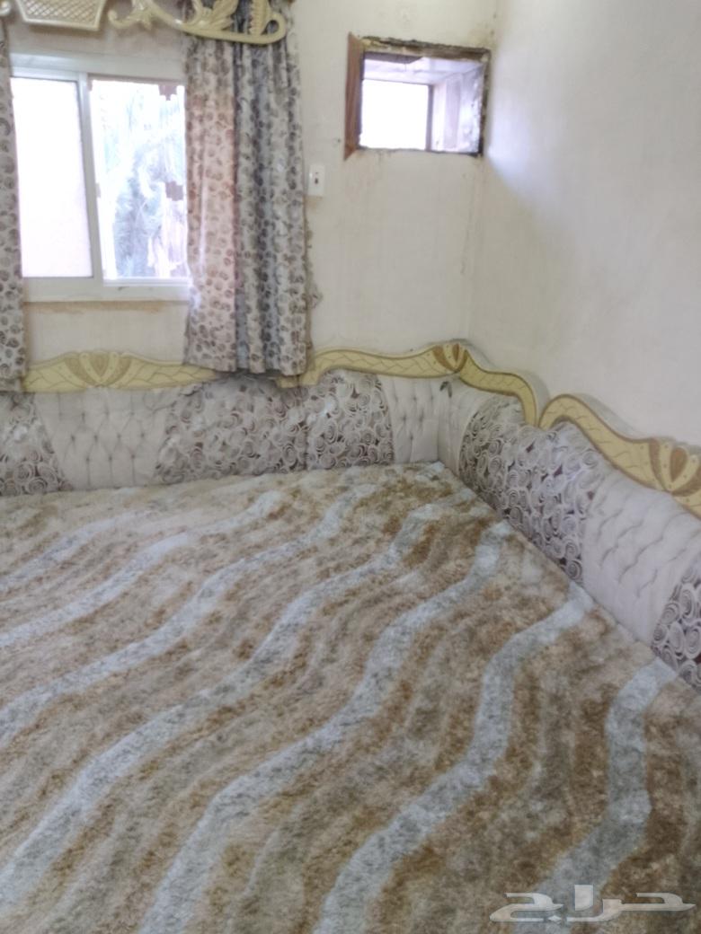 Mattress with backrests, curtain set, and 3 cushions size 6x464431575751937112