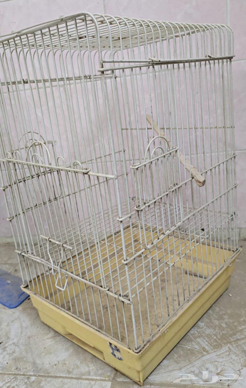 Bird Accessories Set for Sale Including Cages, Nests for Casco, Dora and Other Birds64426523673602111