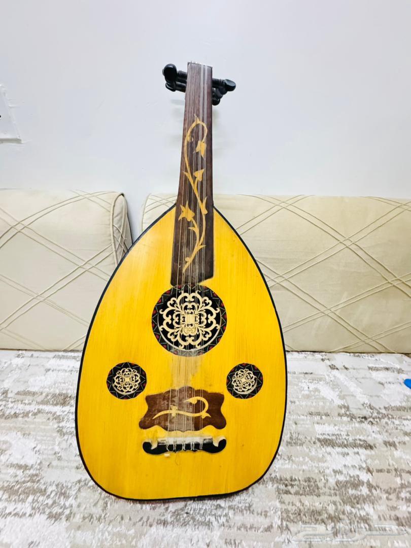 عود عزف احترافي للبيع لاعلا سعر64428228544129110