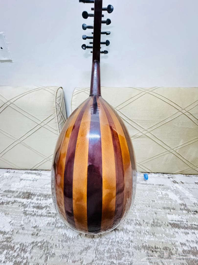 عود عزف احترافي للبيع لاعلا سعر64428228544129111