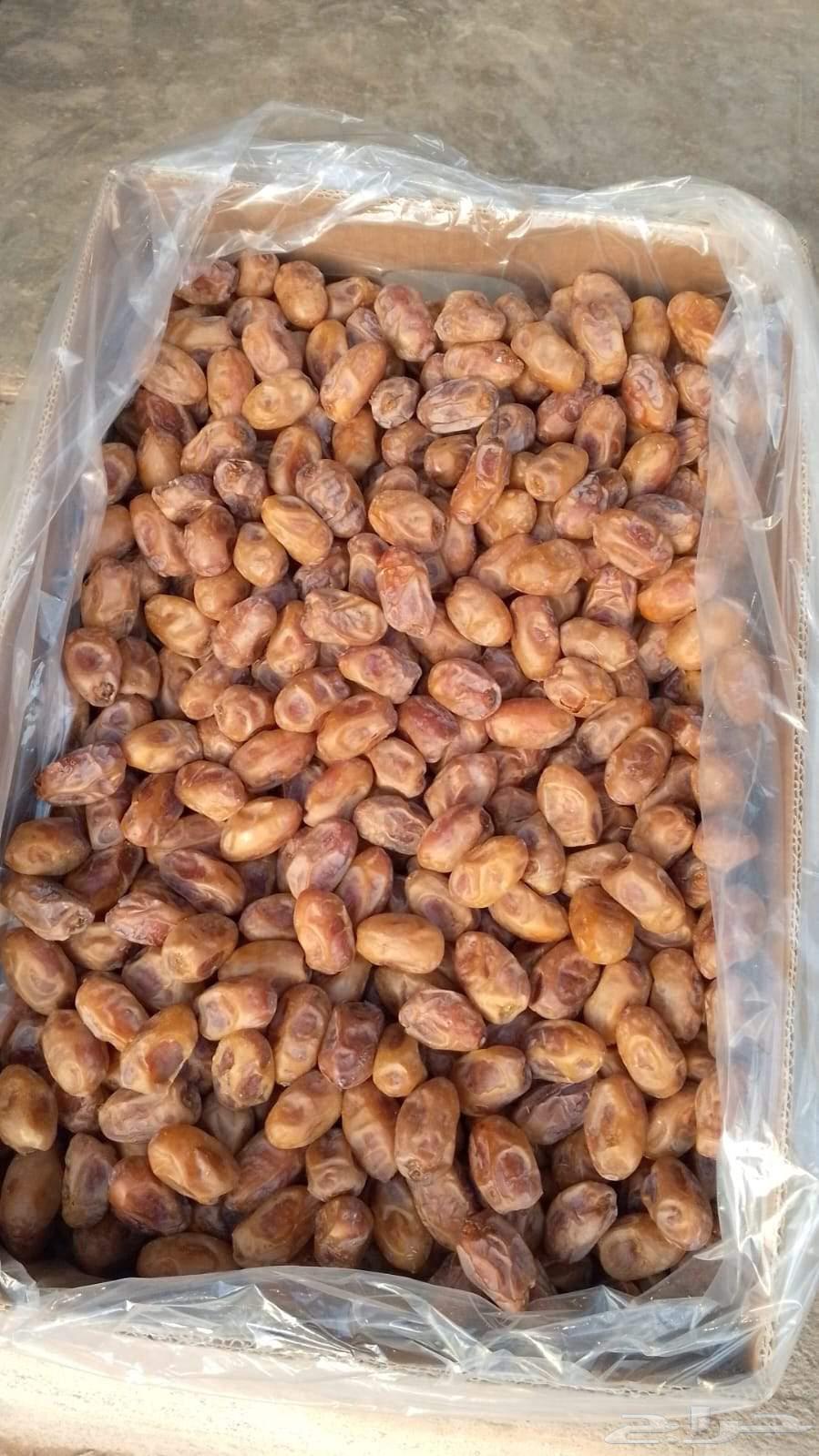 تمر خلاص أشيقر - مزارع الفايز64433323751682111