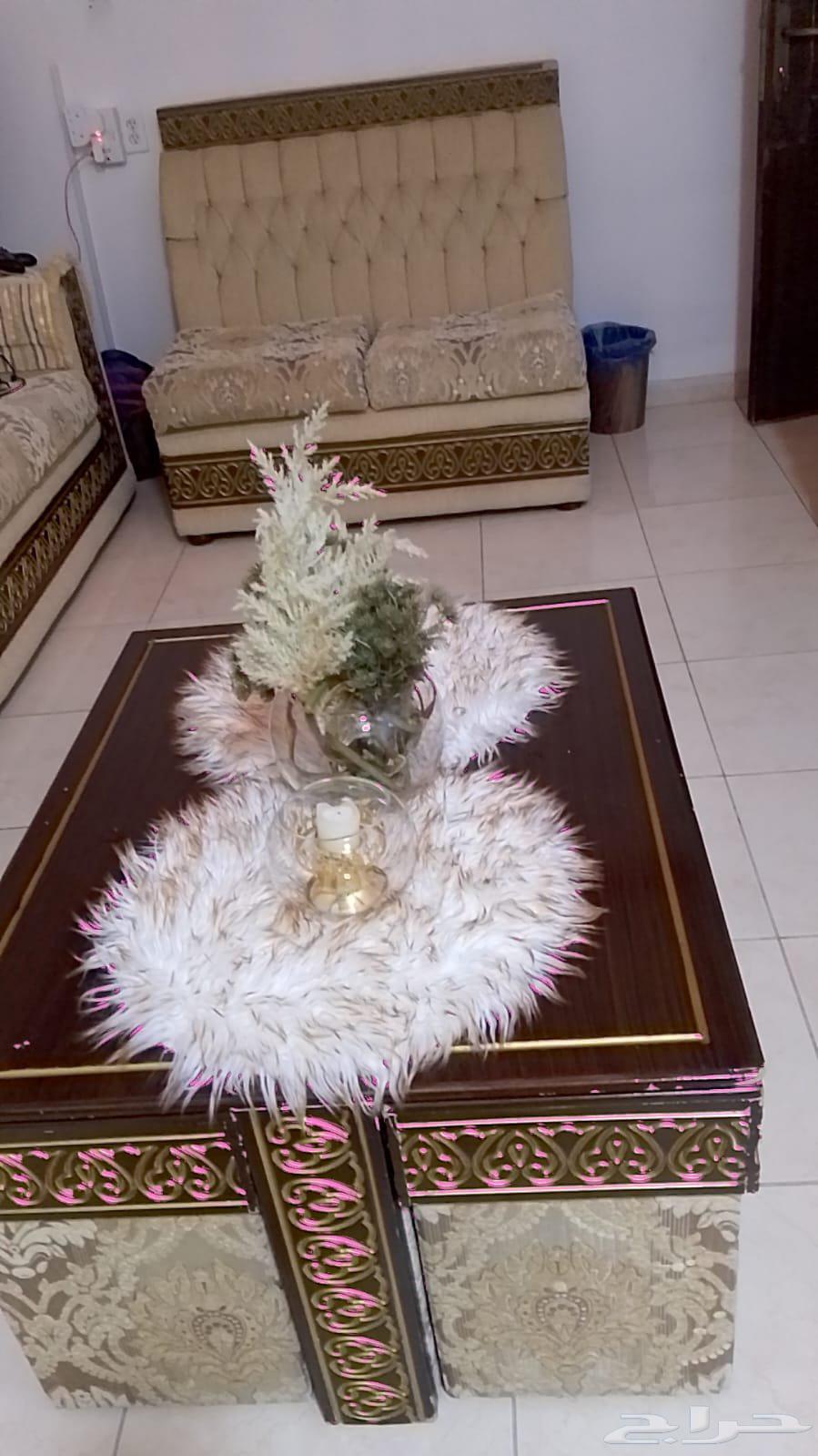 مجلس و زوليه64432251221634112