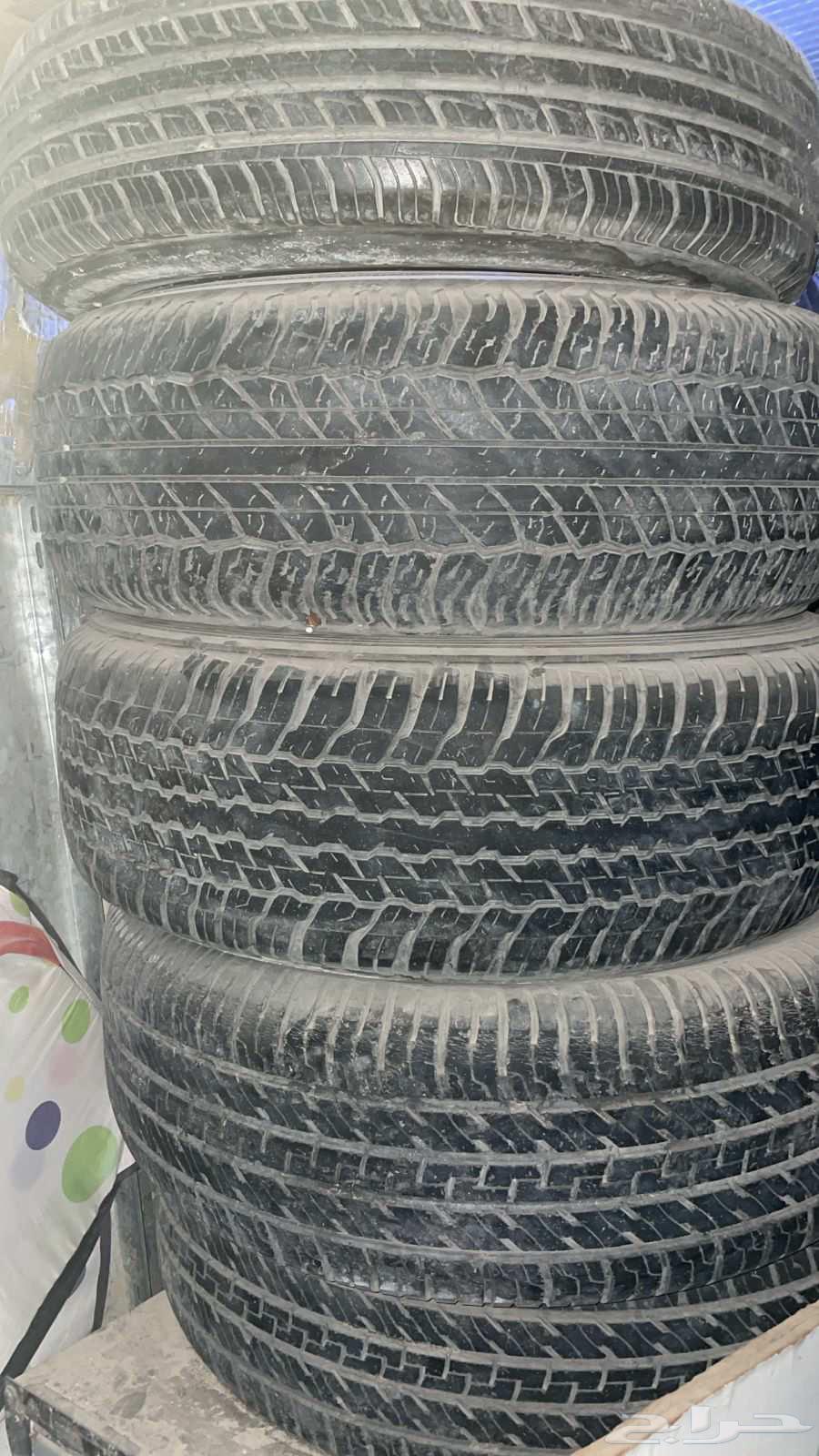 كفرات وشوله وشولة قرصان64429856408577113