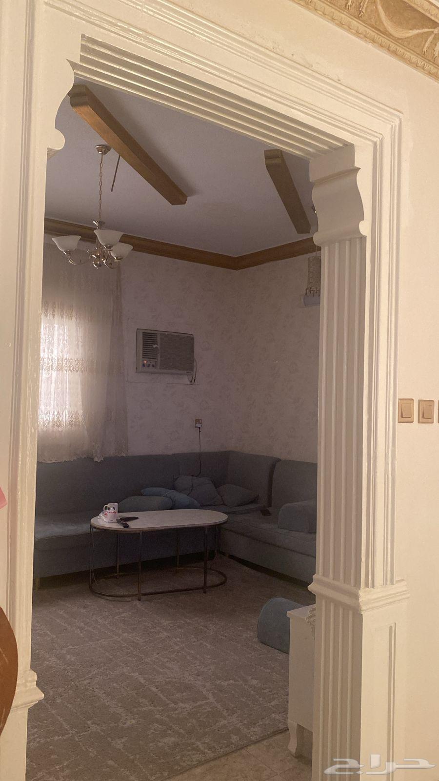 معلم جبسم و جبسم بورد64241847248001113